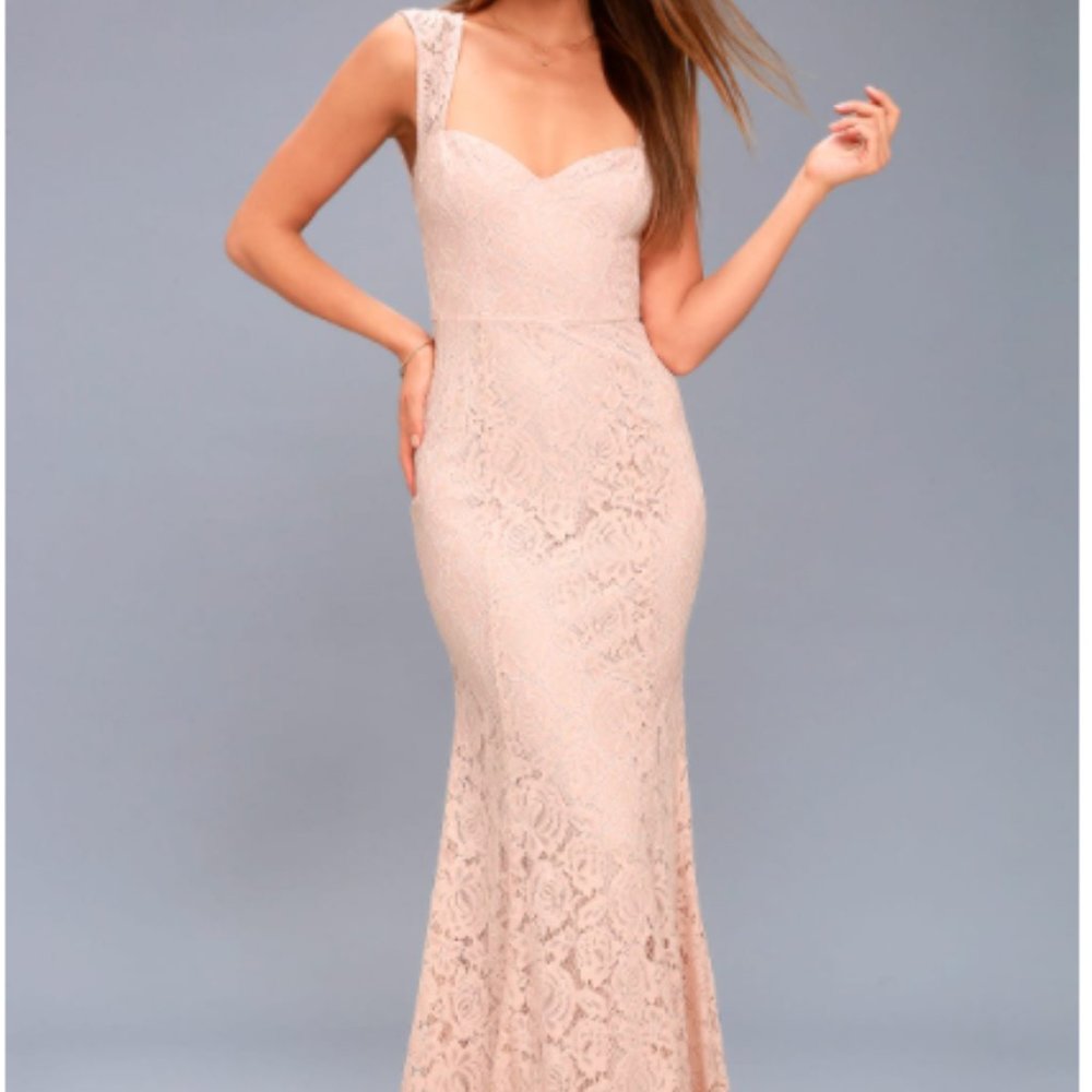 Blush Dress/Lace Dress